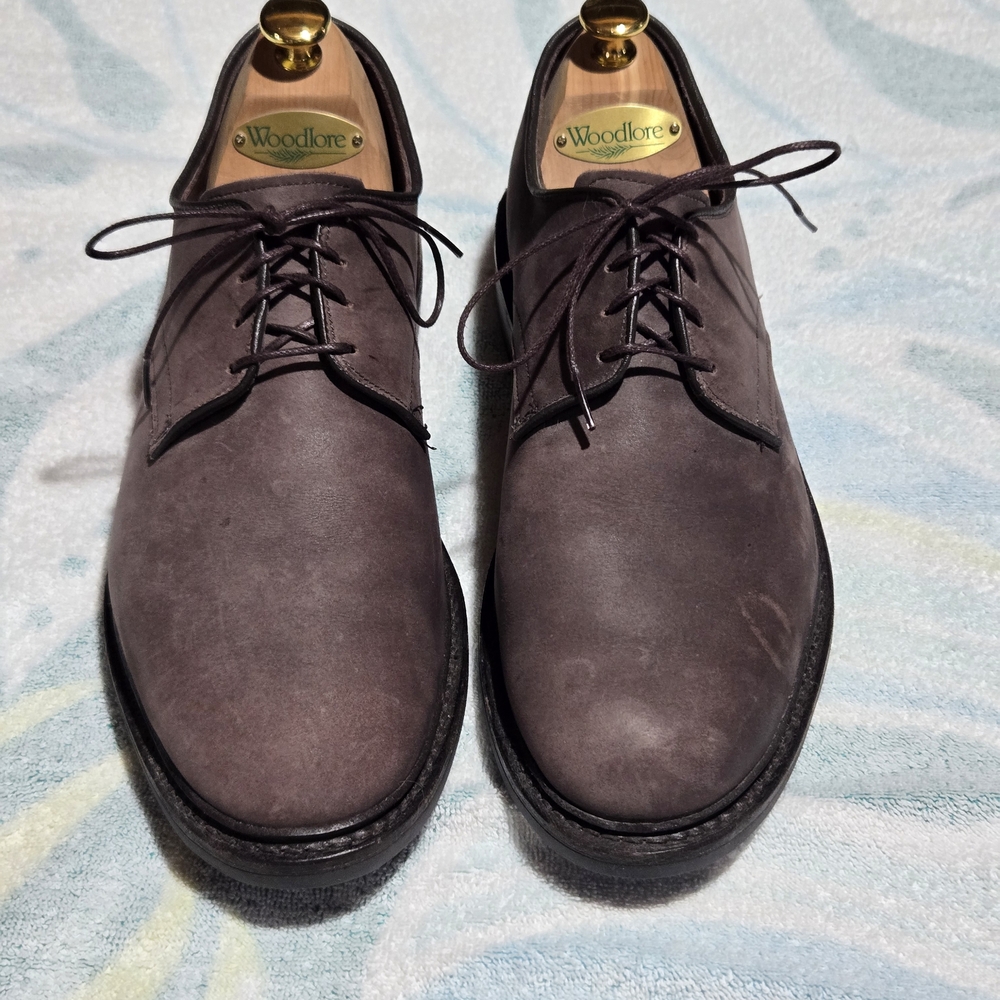 Allen Edmonds Men's Surrey Waterproof Derby Shoes